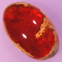 Common Fire Opal